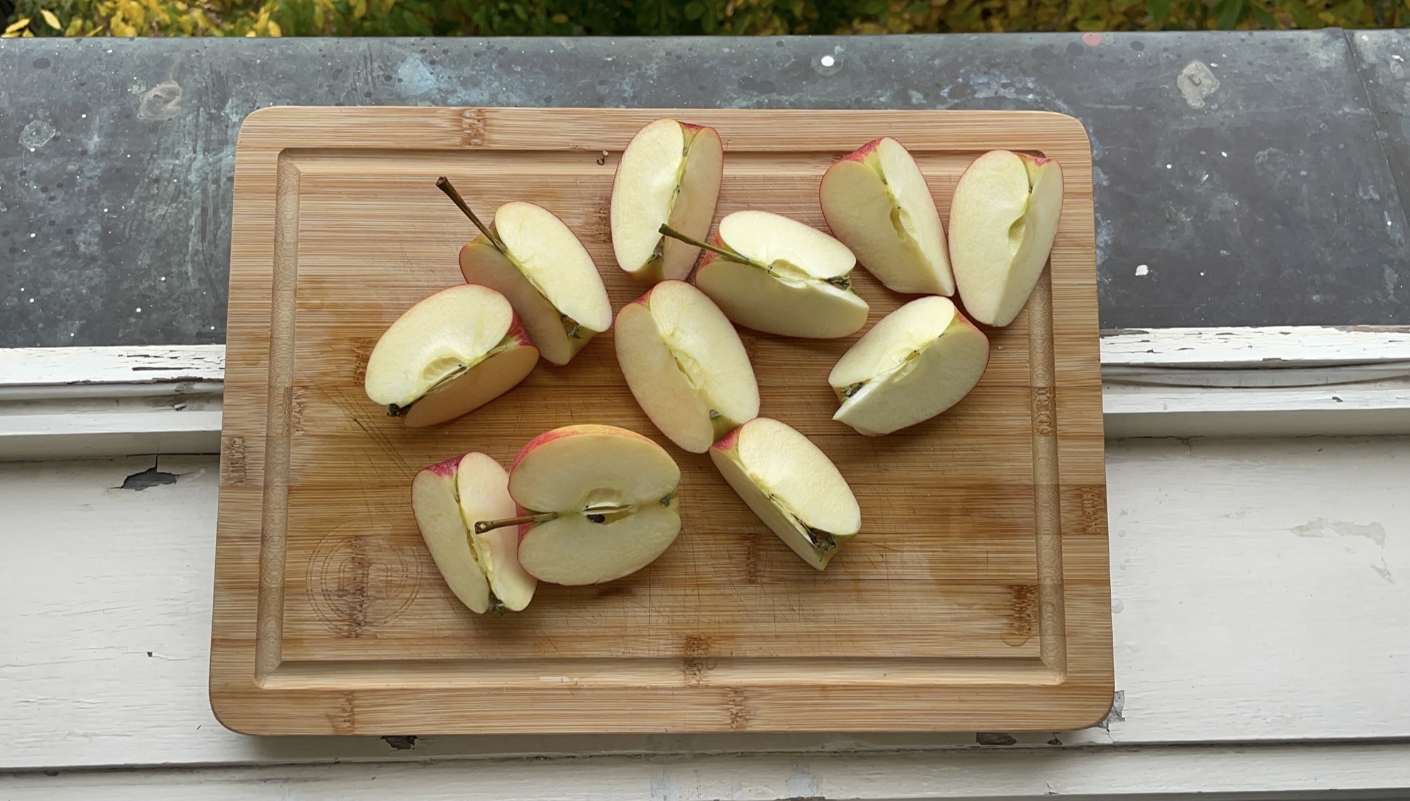 Literárne rezidencie Košice v spolupráci s Pražským literárnym domom  vyhlasujú otvorenú výzvu pre slovenské autorky a autorov na rezidenciu v Mikulove.